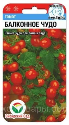 Длиннопост про семена балконных томатов. Давайте сажать вместе) | Пикабу