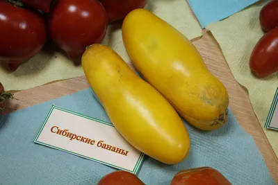 Банановые ноги: описание сорта томата, характеристики помидоров, посев