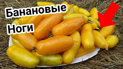 Помидоры желтые в Фаниполе. Сравнить цены и поставщиков промышленных  товаров на маркетплейсе Deal.by