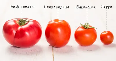 Купить помидоры Биф +-650 г, цены в Москве на Мегамаркет | Артикул:  100029480861
