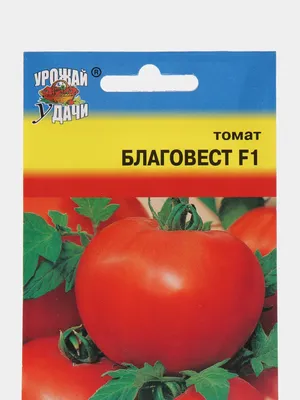 Томат Благовест F1 (семена) 0,05гр, Уродай удачи купить по цене 75.9 ₽ в  интернет-магазине KazanExpress