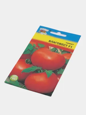 Отзыв о Семена томата Гавриш \"Благовест F1\" | Достойный внимания томат.
