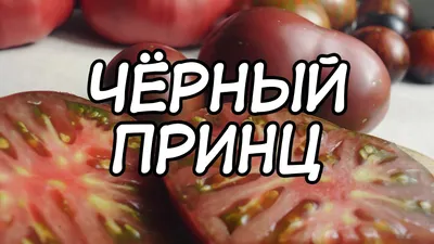 Томат Черный слон