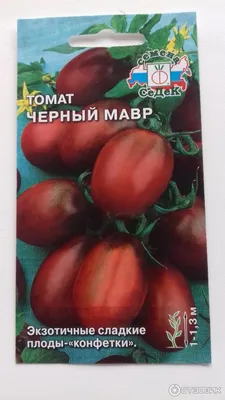 Томат «Чёрный принц»