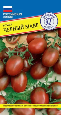Томат Черный мавр: ОТЗЫВЫ (39), фото, урожайность | tomatland.ru