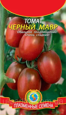 Черные томаты (лучшие сорта томатов) - YouTube
