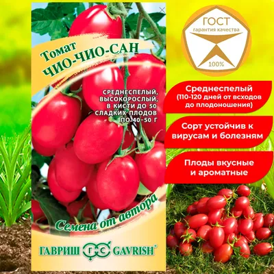 Отзыв о Семена томата Гавриш Чио-Чио-Сан | Универсальные, помидоры и огурцы  дружат и в салате и в банке