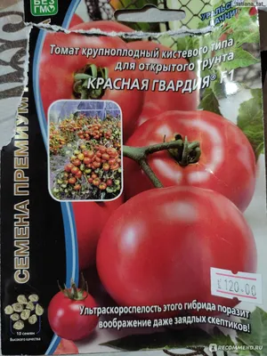 Томат Дачник (А) купить недорого в интернет-магазине товаров для сада  Бауцентр