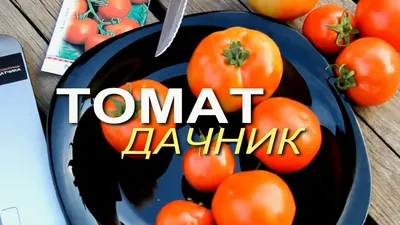 https://dzen.ru/a/Y-4WAXiupAqqTbYL