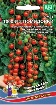 ДАЧНИК! ОБЗОР СОРТОВ ТОМАТОВ! Советы от ЗЕЛЕНОГО ОГОРОДА! - YouTube