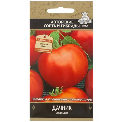 Томат Дачник: характеристика и описание сорта, выращивание и уход |  Домашнее хозяйство | Дзен