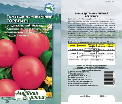 Дачник - YouTube