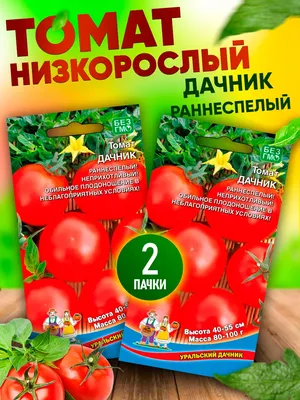 Томат Дачник 20шт #СибСад