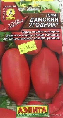 Отзыв о Семена Томата Аэлита \"Дамский угодник\" | Удачный урожай