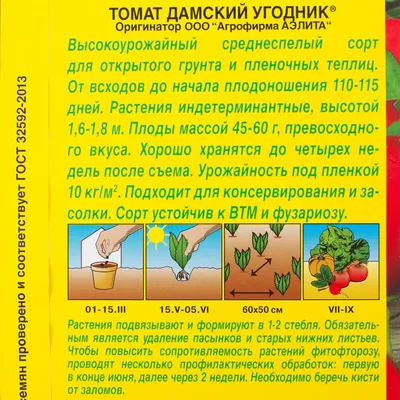 Отзыв о Семена Томата Аэлита \"Дамский угодник\" | Интересно, откуда такое  название?