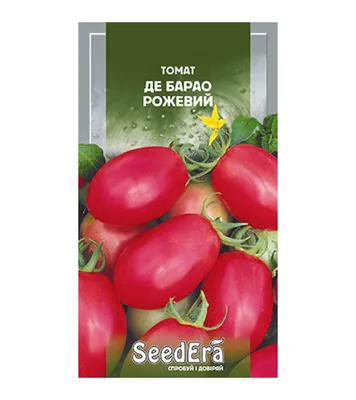 Томат ДЕ БАРАО ЦАРСКИЙ, правда дает царский урожай вкусных томатов,  считается лучшим из ДЕ БАРАО - YouTube