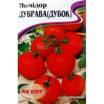 Томат Дубрава: характеристика и описание сорта, отзывы