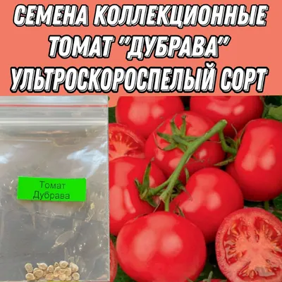 Томат Дубрава 0,2 Гавриш овощные Наш сад, пакеты цветные Семена Продукция