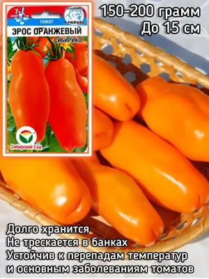Самые невкусные сорта Томатов, которые я когда-либо выращивала | Моя  успешная дача | Дзен