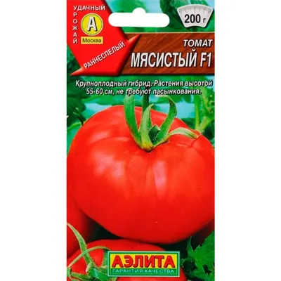 https://dzen.ru/a/Za949kLb7yo-YVL_