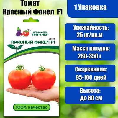 Томат Красный факел F1 #дляфермера #томаты #помидорывтеплице #втеплице... |  TikTok