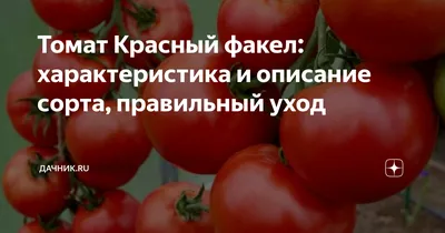 Какие бывают томаты: классификация видов, групп и сортов | Сад из бутылок,  Тепличное садоводство, Огород