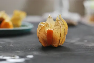Физалис Фиолетовый — Purple Tomatillo | Дом Помидоров - Помидом