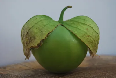 Verde Tomatillo, томат шелухи или физалис Стоковое Фото - изображение  насчитывающей съестно, клиппирование: 129269466