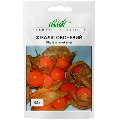 Физалис перуанский - Physalis peruviana - семена – Garden Seeds Market |  Бесплатная доставка