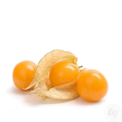 Мыс Гусиная Ягода Physalis Peruviana Или Молотая Вишня Зимняя Вишня Физалис  Минима Ягоды Инков Золотая Клубника Клубничный Помидор Помидоры Хас —  стоковые фотографии и другие картинки Без людей - iStock