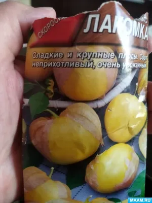 Заметки юного ботаника
