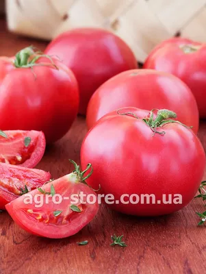 Томат Фламинго F1 (Dorsing Seeds) - купить семена в Украине: отзывы, цена,  описание ᐉ Agriks