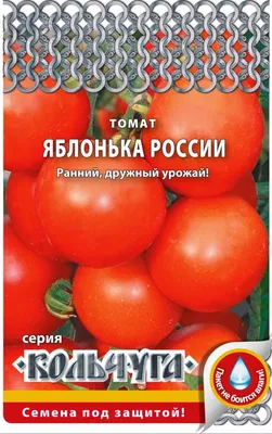 Такой неприхотливый томат \"ЯБЛОНЬКА РОССИИ\" для открытого грунта и теплиц |  Любимая усадьба | Дзен