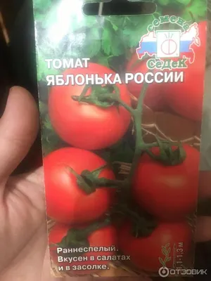 Семена Томат Грунтовой Грибовский 1180 (1941 г.) купить в интернет-магазине  ФОНД СССР с доставкой по России