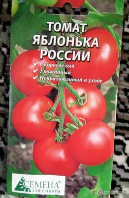 Лучшие томаты для открытого грунта: список из 45 сортов