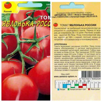 Томат Яблонька России: описание сорта. Выбор тех, у кого мало времени на  уход за помидорами | Лайфхаки и полезные советы | Дзен