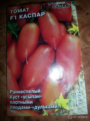 Томат Каспар F1 1 шт МД, Дом Семян, для засолки и вяления, количество семян  в пакетике 10 шт — купить в интернет-магазине по низкой цене на Яндекс  Маркете