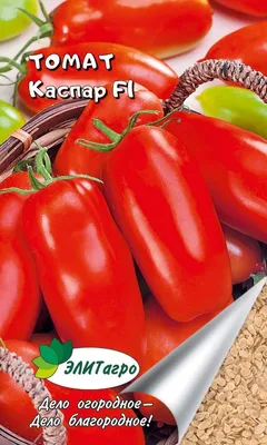 Самая большая подборка томатов для вяления и сушки: у них мясистая мякоть,  плотная шкурка и мало сока | Моя успешная дача | Дзен