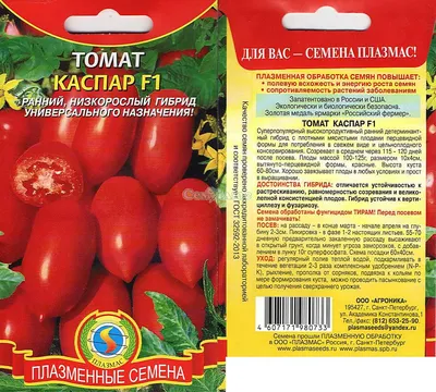Расти, томат, большой и красный: когда и какие помидоры лучше посадить