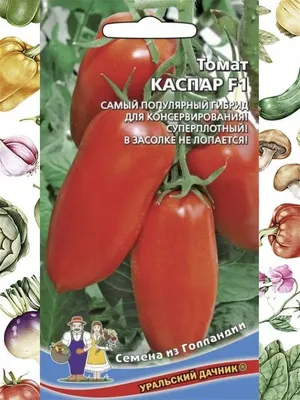Томат Каспар F1 (12 шт. семян) Уральский Дачник 18860903 купить за 148 ₽ в  интернет-магазине Wildberries