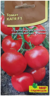Томат Катя F1: ОТЗЫВЫ (53), фото, урожайность, описание и характеристика |  tomatland.ru