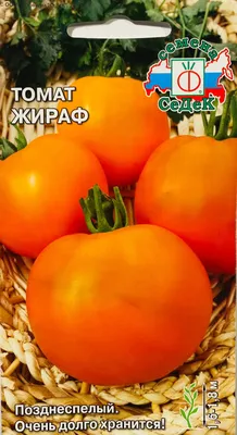 Помидоры будут краснеть прямо на глазах! 4 секрета супер урожая томатов