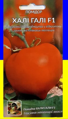 Семена томат Аэлита Хали Гали F1 раннеспелый - «Для садоводов-дачников!  Томаты с отличными вкусовыми свойствами. Сальцо, лучок и мясистые  помидорчики...ммм...» | отзывы