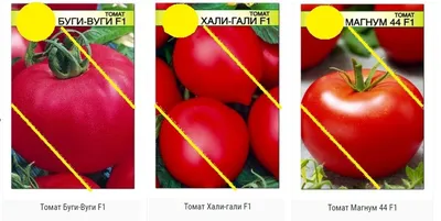 Помидоры Хали-Гали: описание сорта. Томаты, урожай которых можно получить  даже на балконе | О Фазенде. Загородная жизнь | Дзен