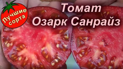 Помидоры Инфинити F1: продажа, цена в Минске. Семена и рассада овощных  культур от \"Магазин \"Семена и рыболовные принадлежности\"\" - 86761230