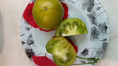 Томат Киви – сладкий с нотами цитрусов