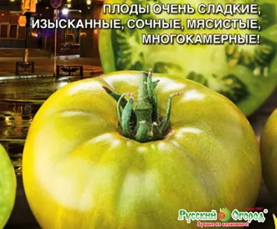 Помидоры Ananas Noire, Чёрный Ананас. | Дом Помидоров - Помидом