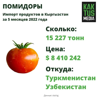 ТОМАТ СИБИРСКИЙ КИВИ СОВСЕМ НЕ КИВИ . ОТЗЫВ О ТОМАТЕ СИБИРСКИЙ КИВИ -  YouTube
