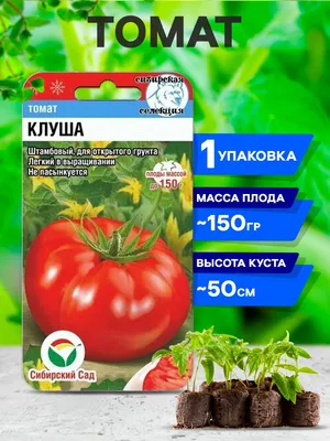 Томат Клуша: обзор вкусного сорта | Дачник.RU | Дзен