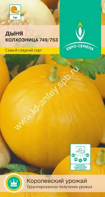 Семена дыни Колхозница купить в Украине | Веснодар